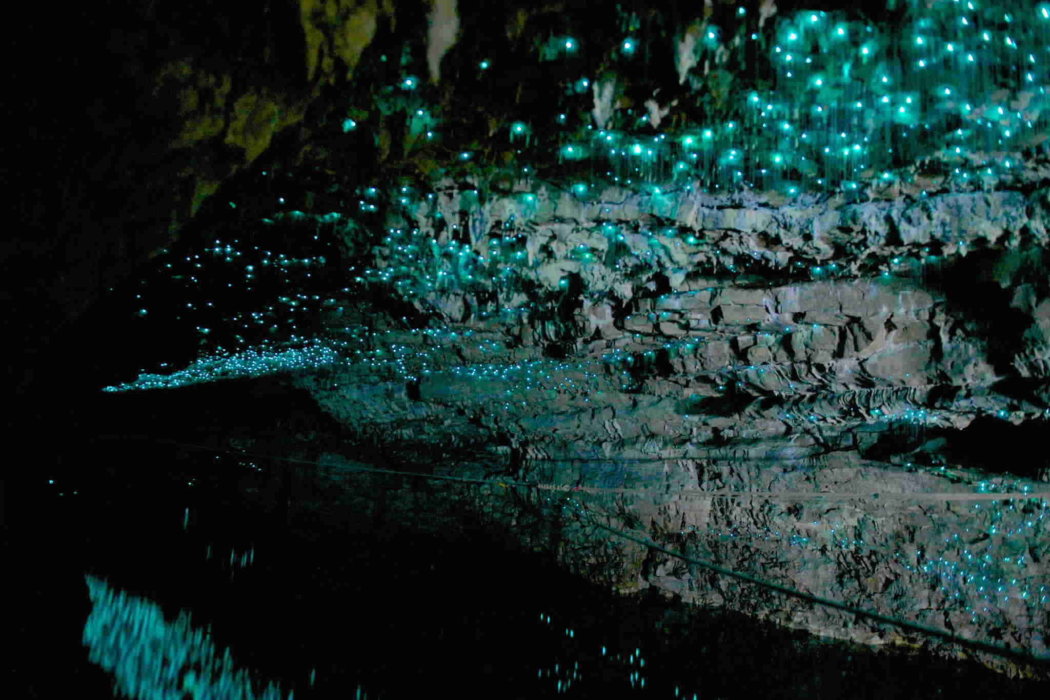 Waitomo and Hobbiton Experience - One Way Trip to Auckland from Rotorua