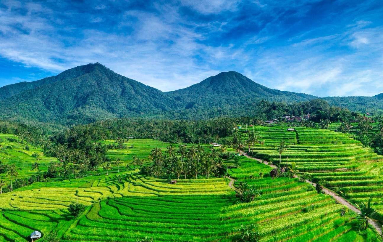 Ulun Danu Temple, Handara Gate & Jatiluwih Rice Terraces - Ulun Danu Temple, Handara Gate & Jatiluwih Rice Terraces