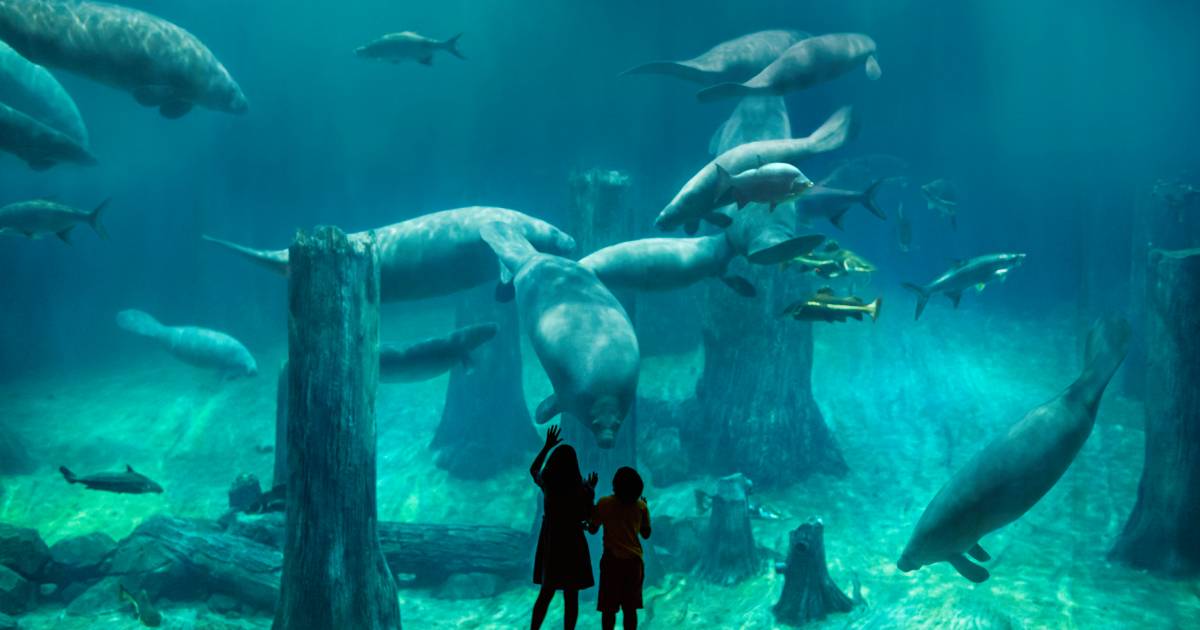 River Wonders without ARQ Boat Ride with shared transfers