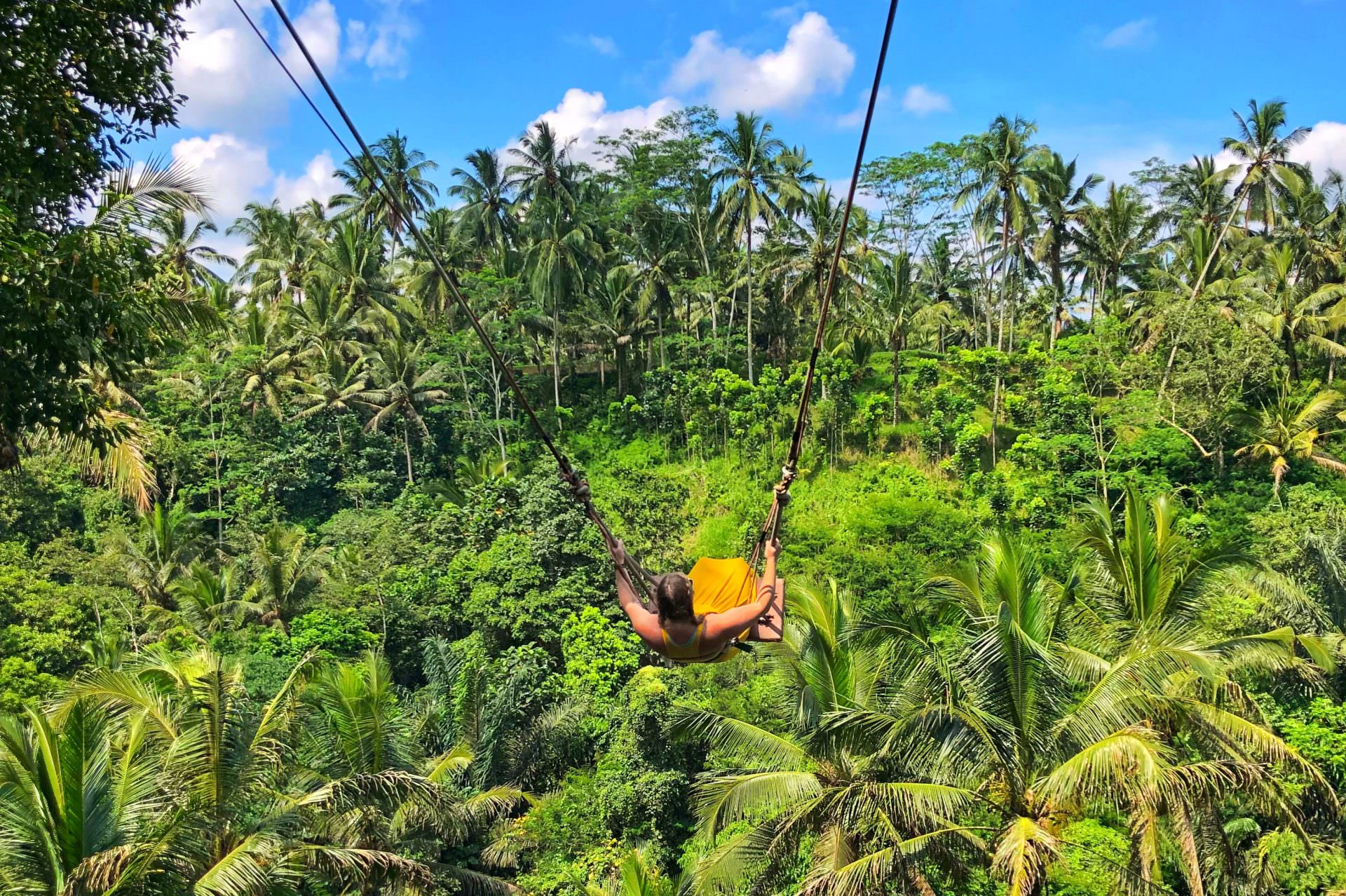 Bali Swing and Waterfall with Ubud Palace full day Ubud tour (Nt possible)