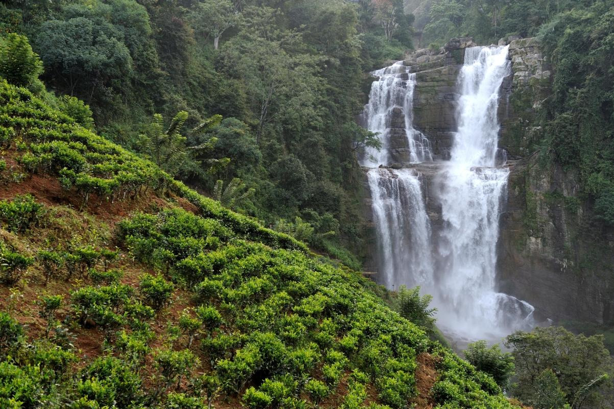 Nuwara Eliya City Tour: Seetha Amman Temple, Sri Bhakta Hanuman Temple, Hakgala Botanical Garden, Ramboda Waterfall, and Tea Factory visit.