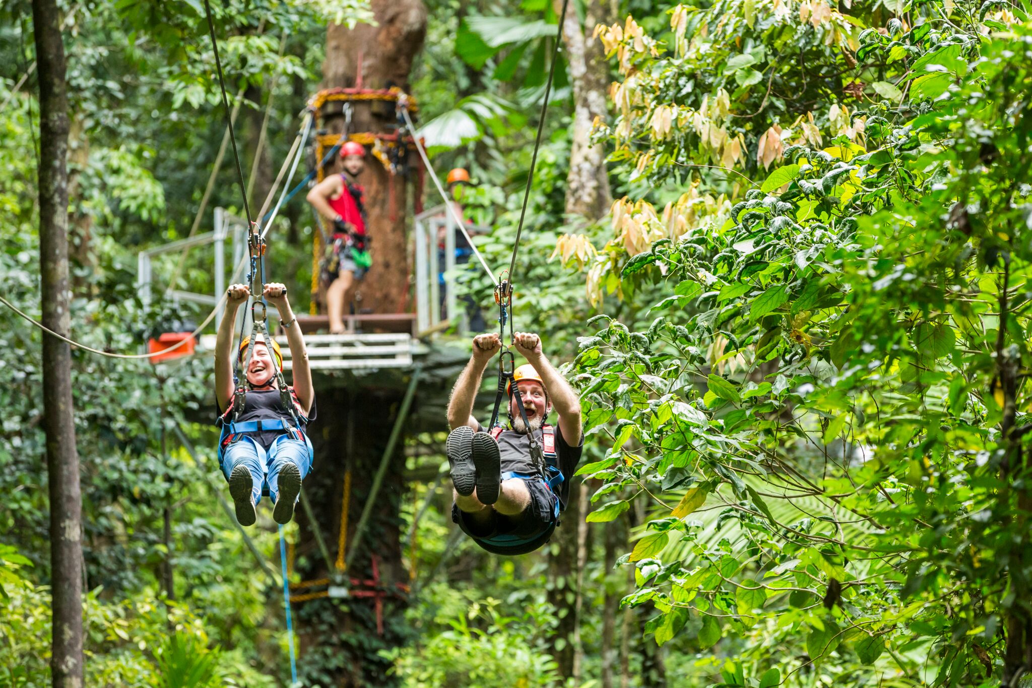 Cape Tribulation & Daintree Rainforest Tour