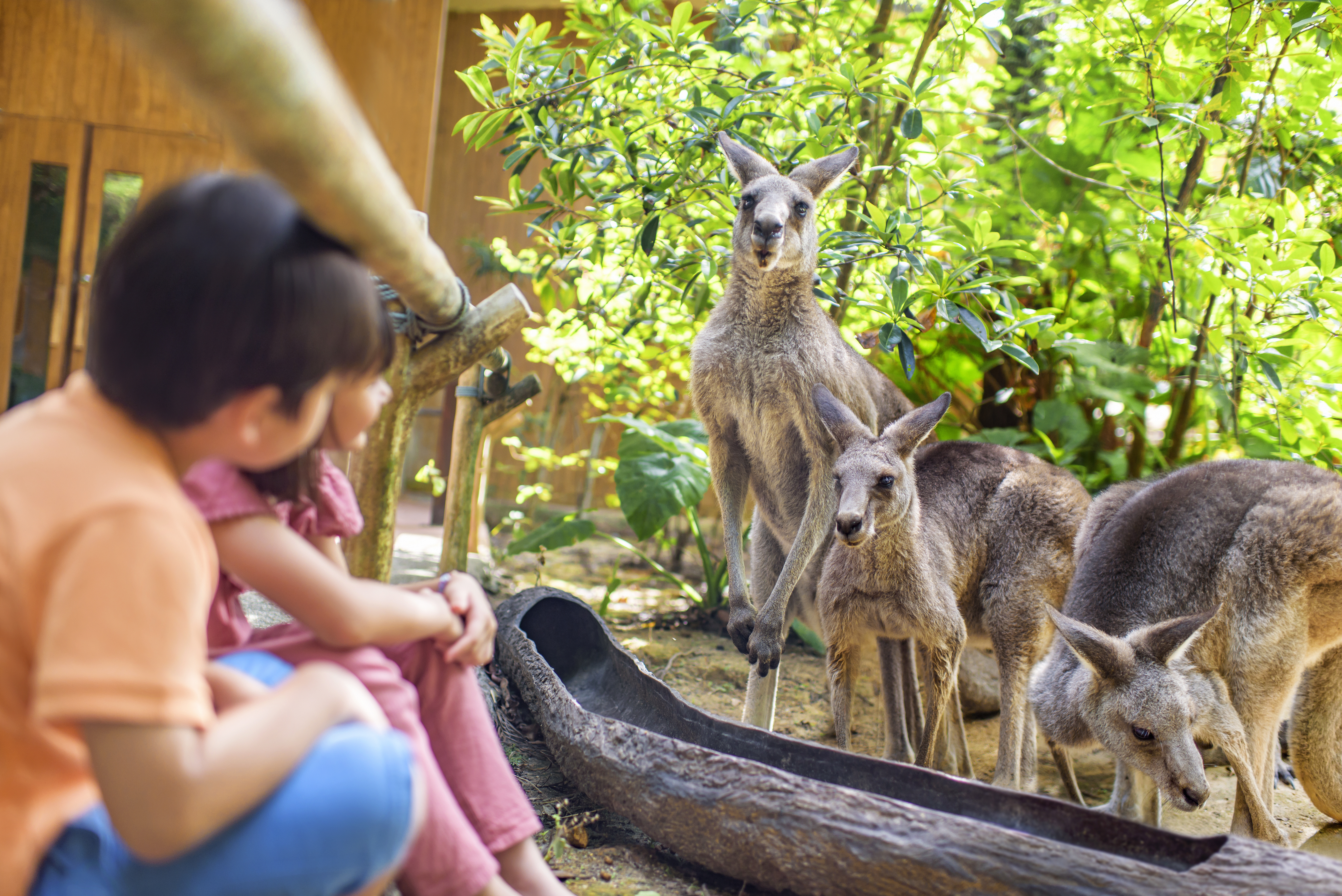 Singapore Zoo and Bird Paradise on SIC Basis