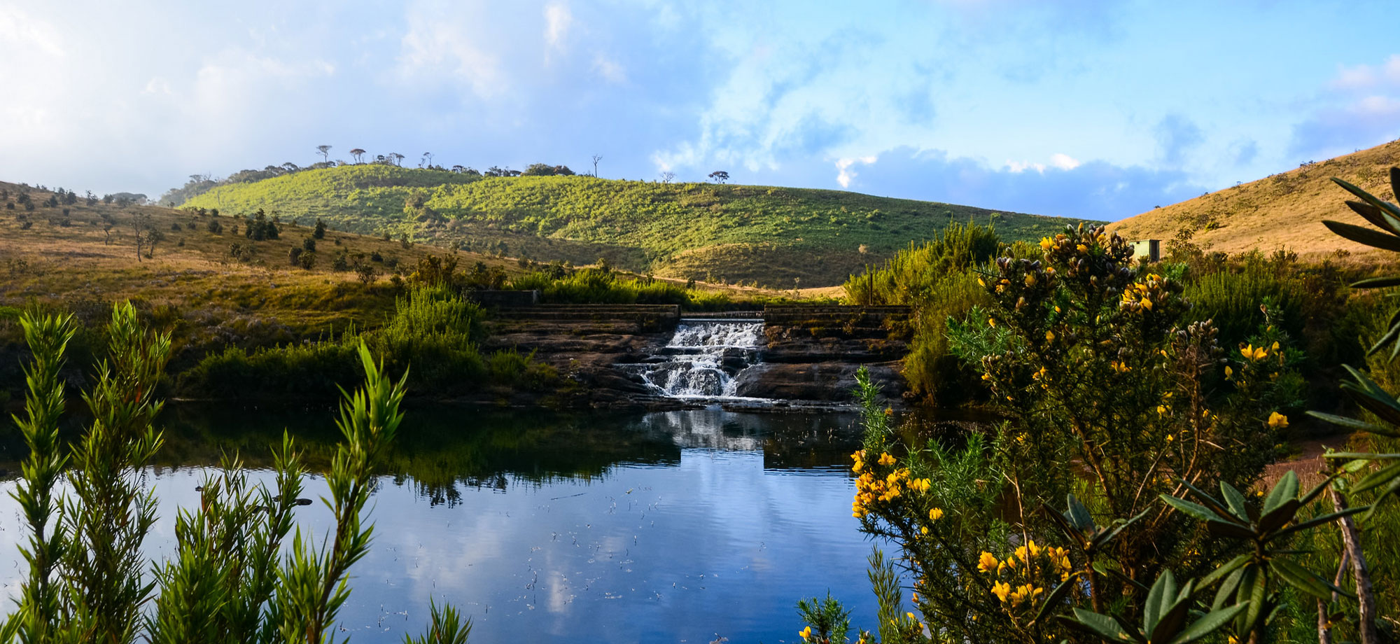 Horton Plains National Park – Day Trip from Nuwara Eliya