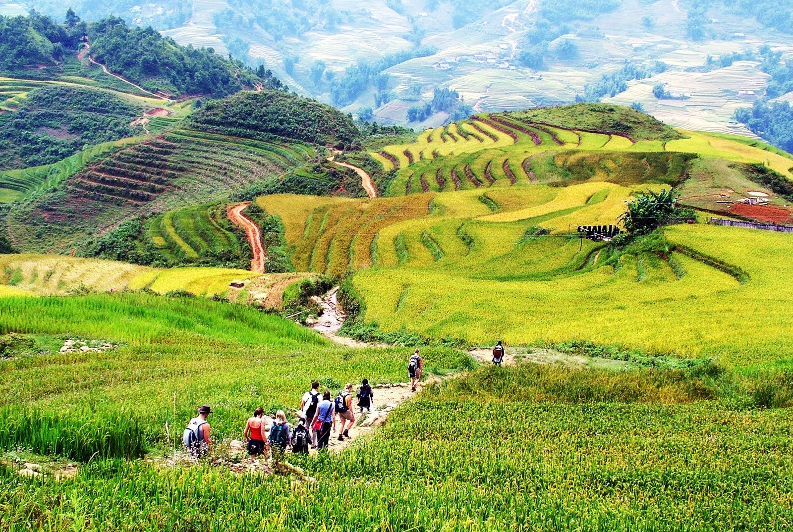 Sa Pa – Lao Chai – Ta Van – Sa Pa PVT