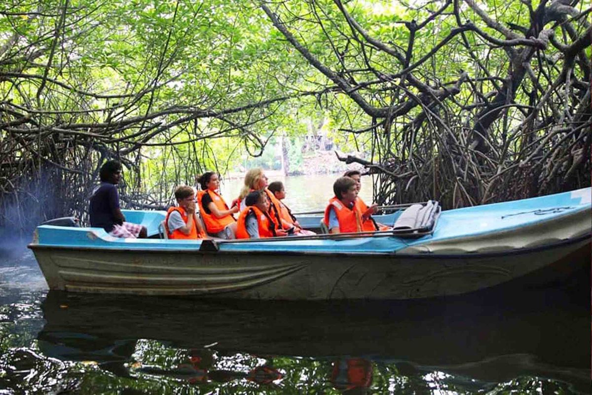 Bentota city tour : Experience Madhu River Ride ,Turtle Hatchery and Water sports