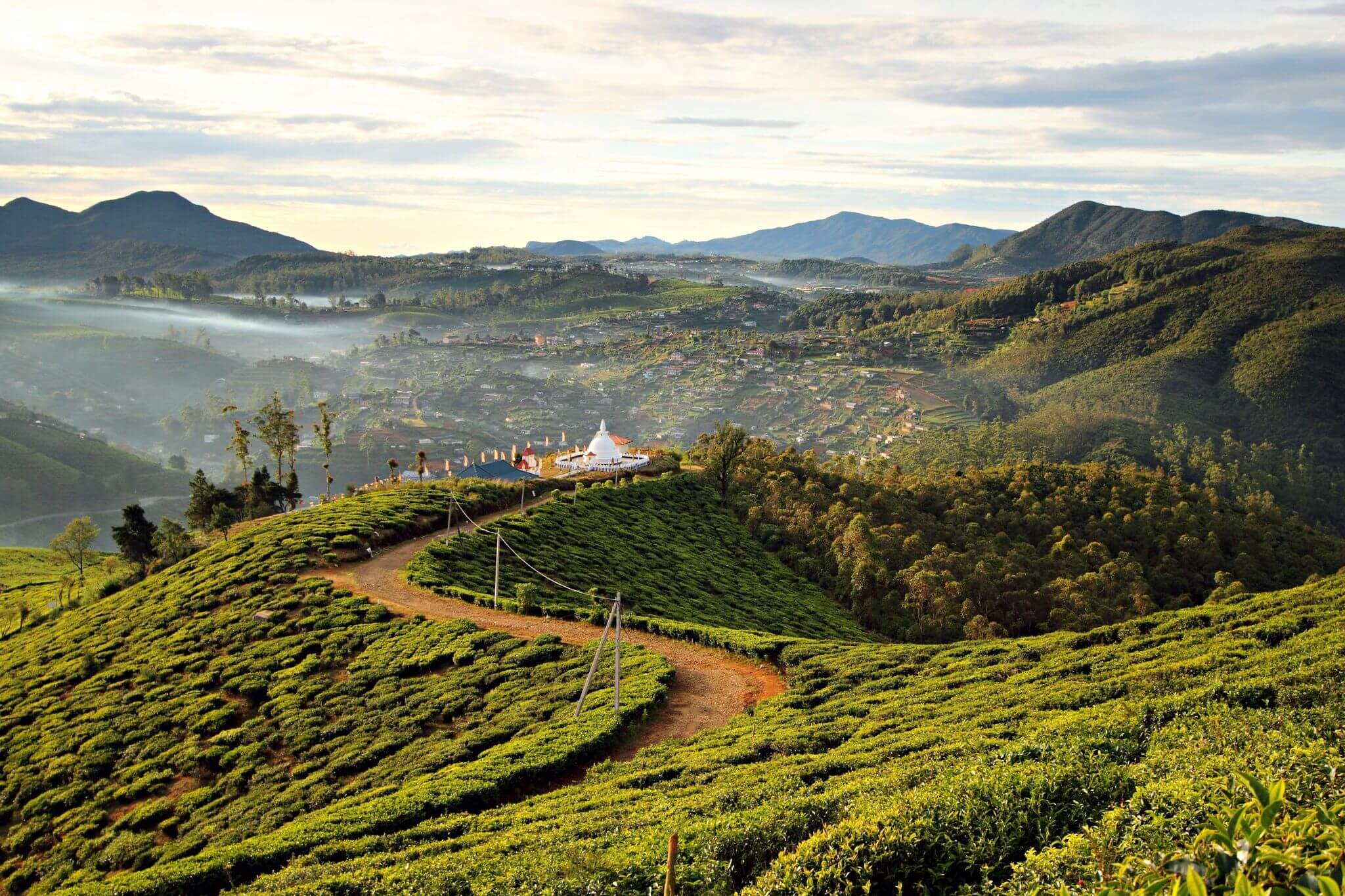 Nuwara Eliya City Tour, Gregory Lake, Tea Factory, Hakgala Gardens and Seetha Amman Temple 