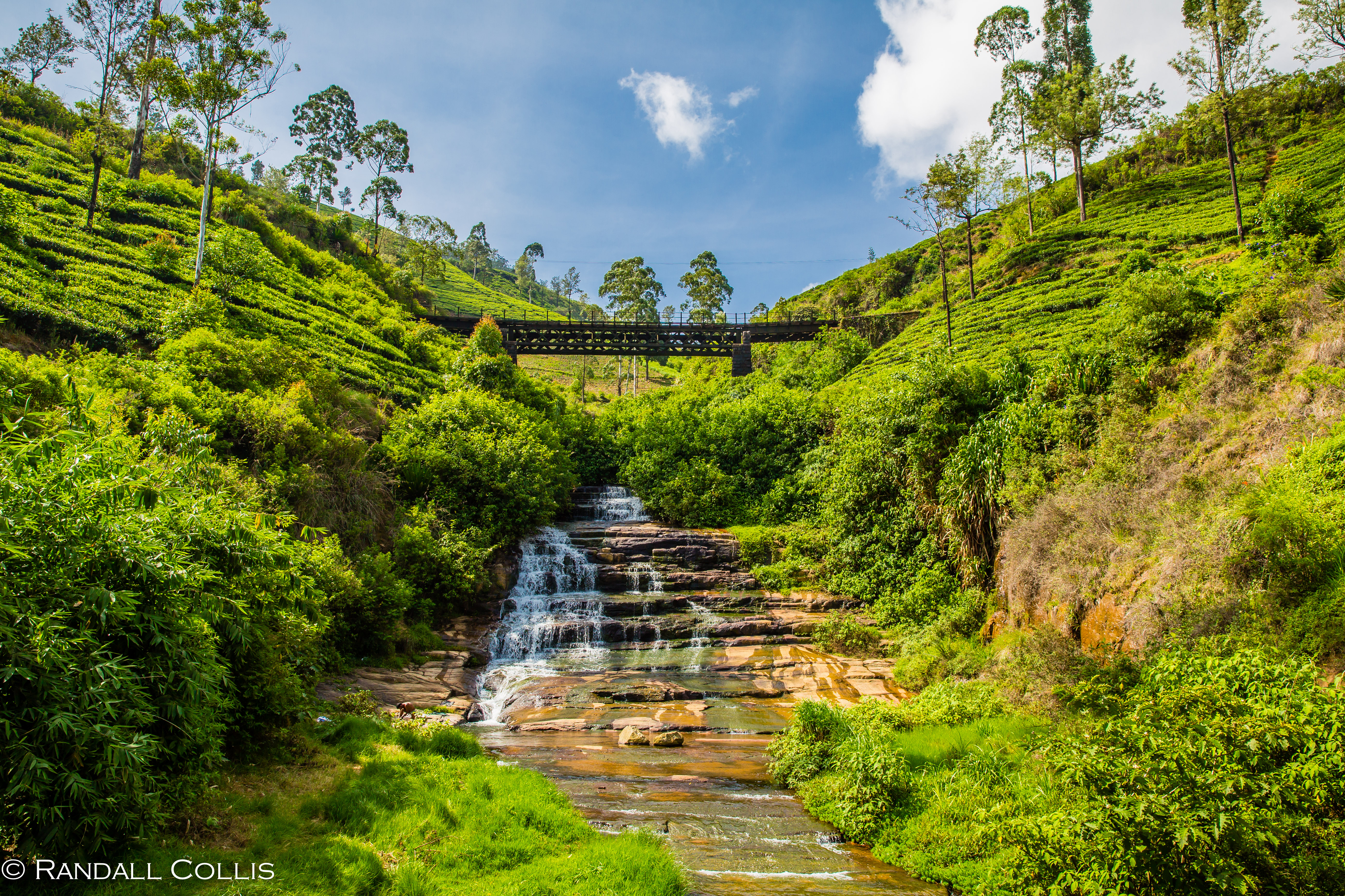 Nuwara Eliya City Tour