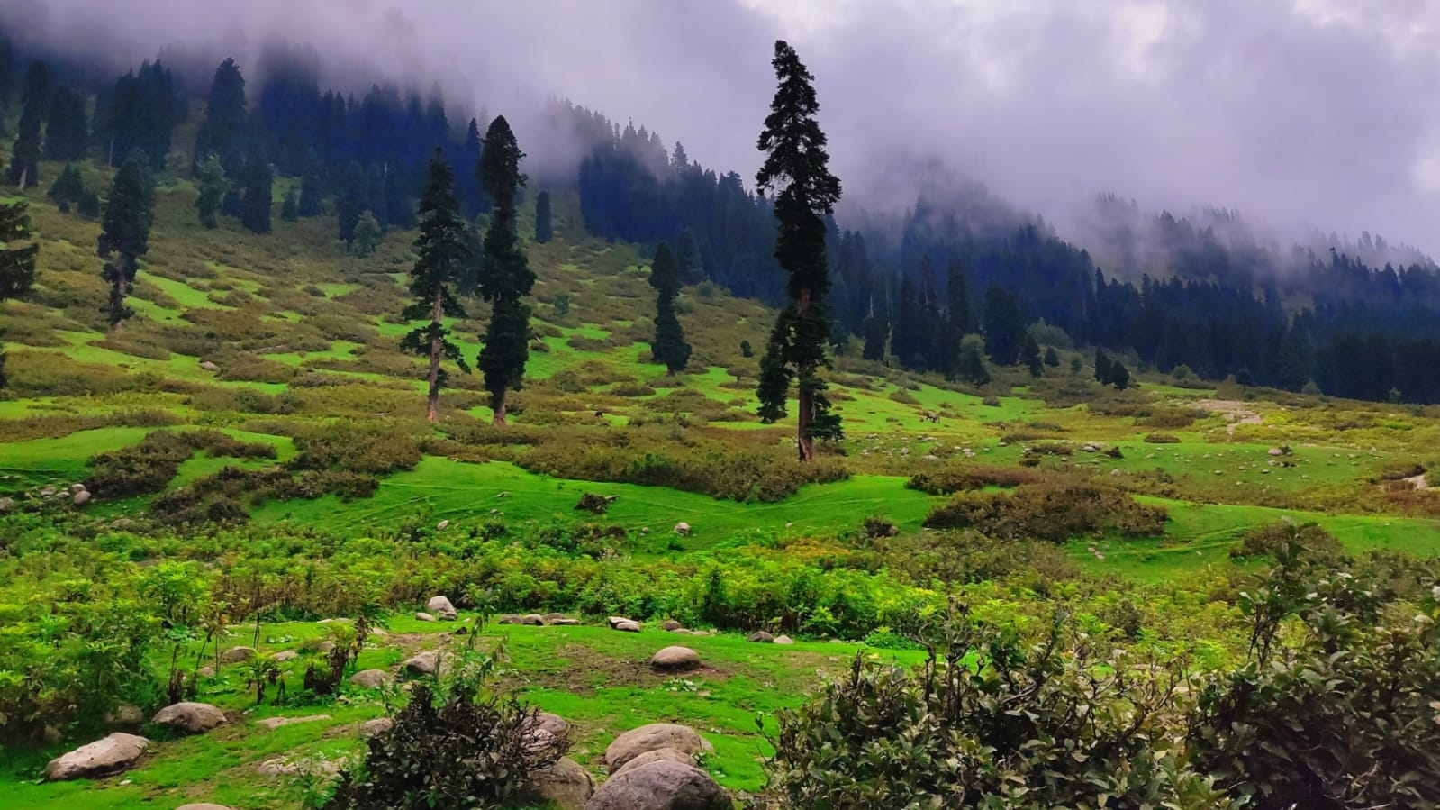 Day Trip to Doodhpathri