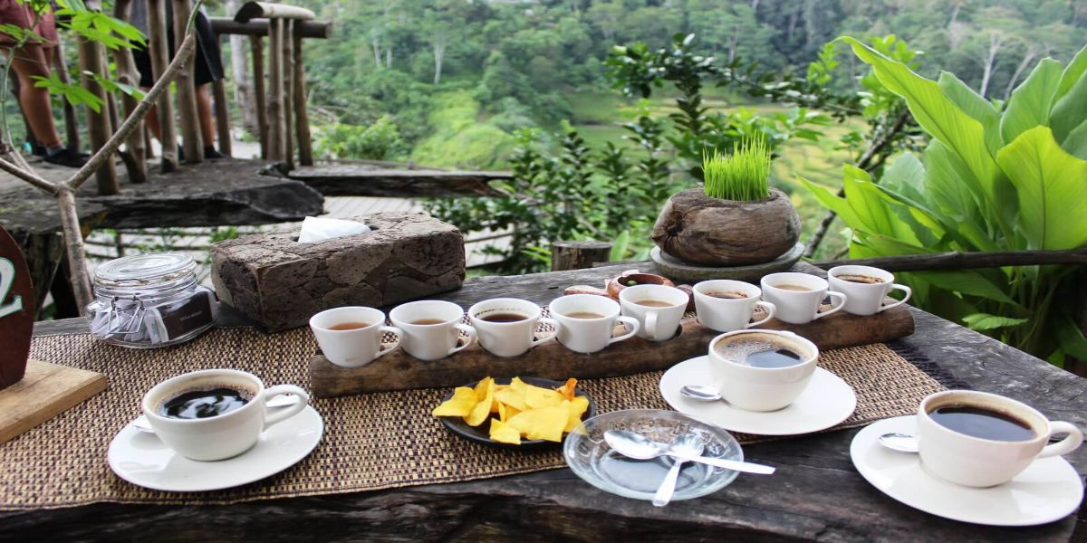 Combo: Private Sunrise Trek To Mt Batur & Coffee Plantation Visit