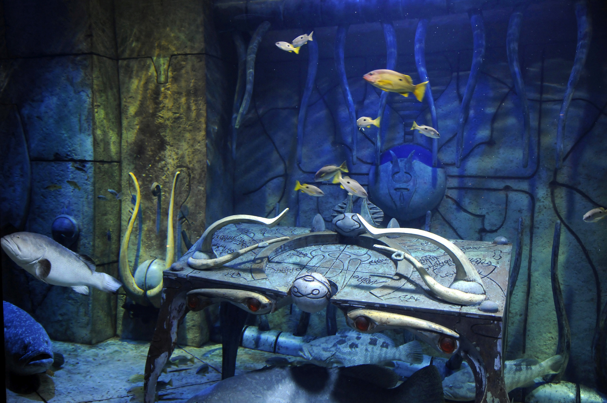 Experience the Aquaventure Waterpark & Lost Chambers