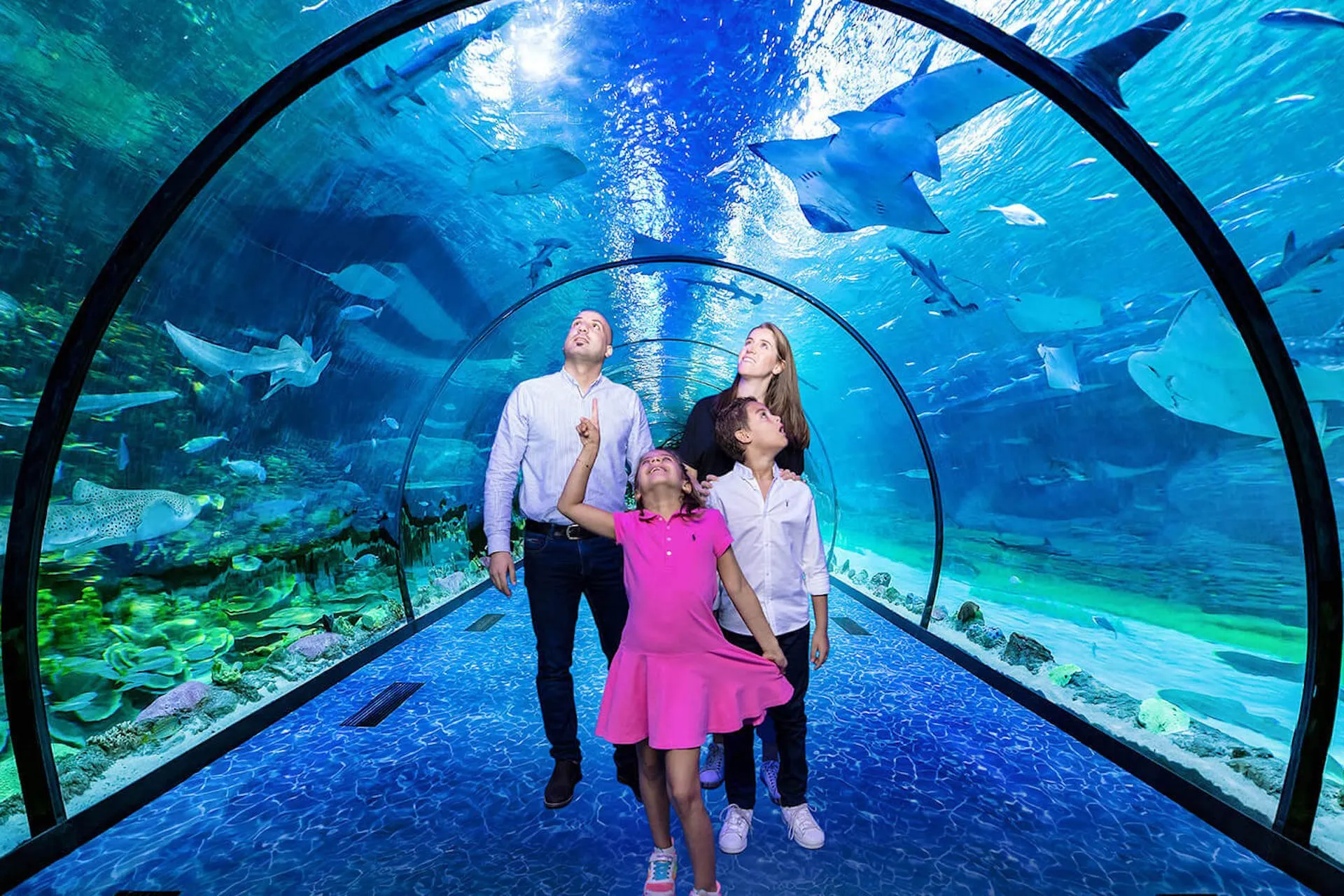 National Aquarium (Bu Tinah Dhow) with Private Transfers