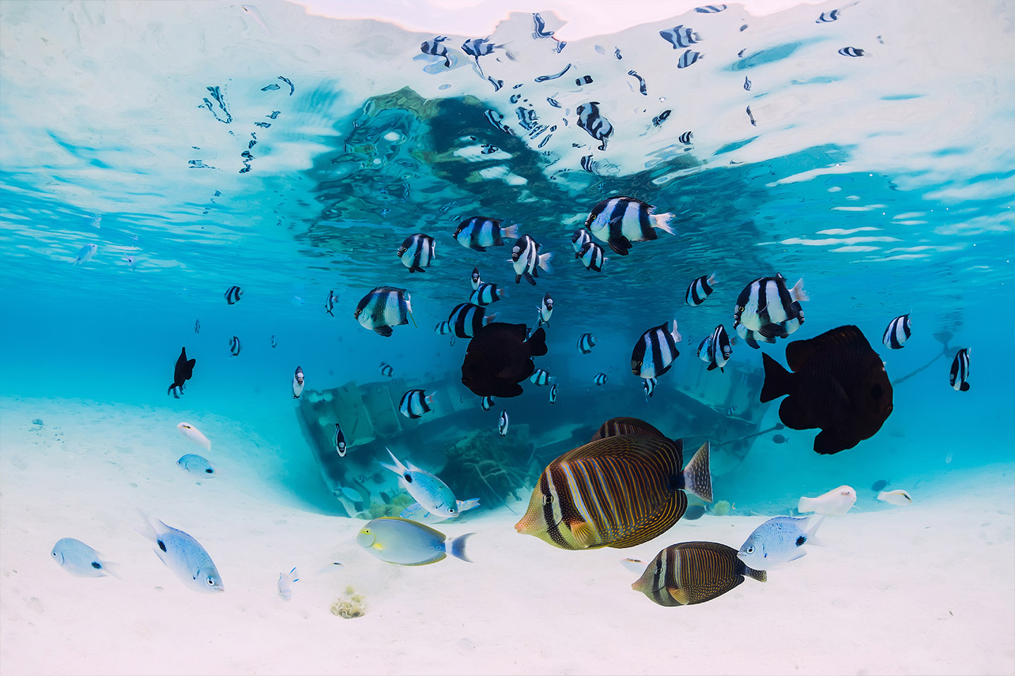 Odyssoe Oceanarium and Submarine With Private Transfers