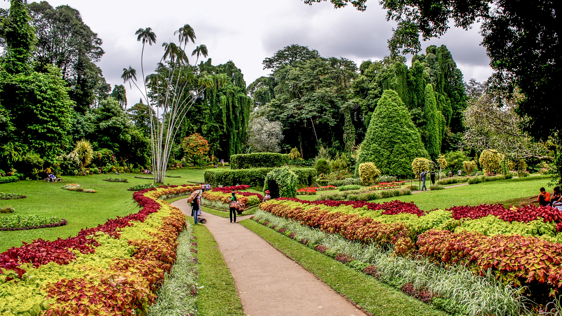 Peradeniya Botanical Gardens-  Entrance Fee 11 USD Per Person Pay Directly