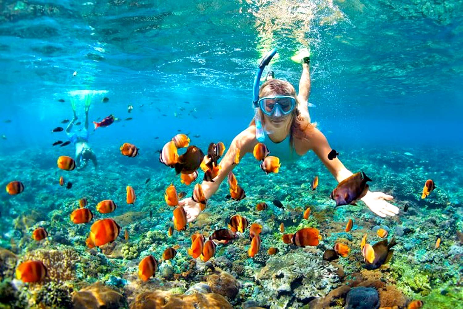 One Day Nusa Penida Land tour with snorkeling, visit 3 spot points (Gamat Bay, Manta Bay & Crystal Bay) with Private transfers