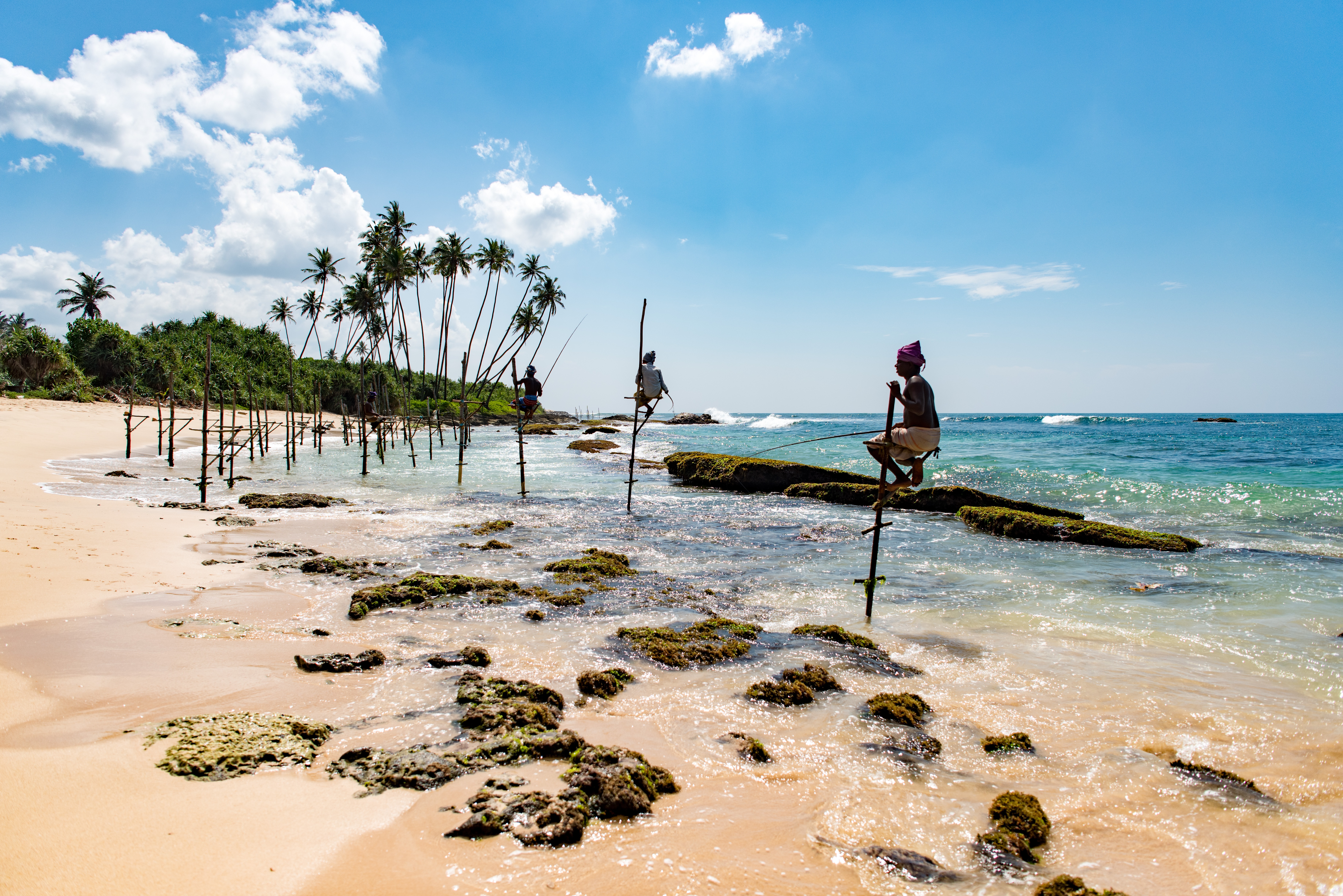 Когда ехать на шри. Пляж Велигама Шри Ланка. Пляж Мирисса Шри Ланка. Тангалле Шри Ланка. Пляж Бентота на Шри Ланке.