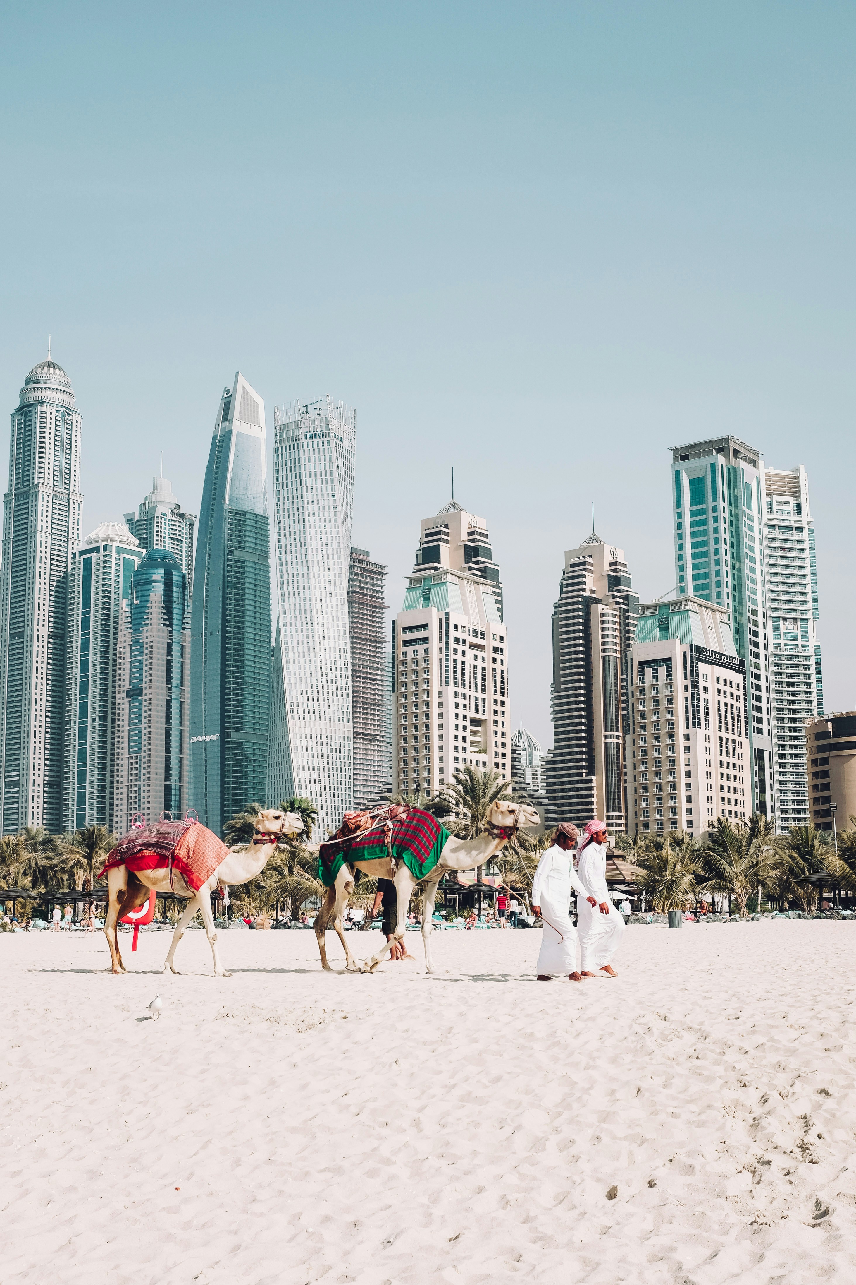 uae places to visit with family