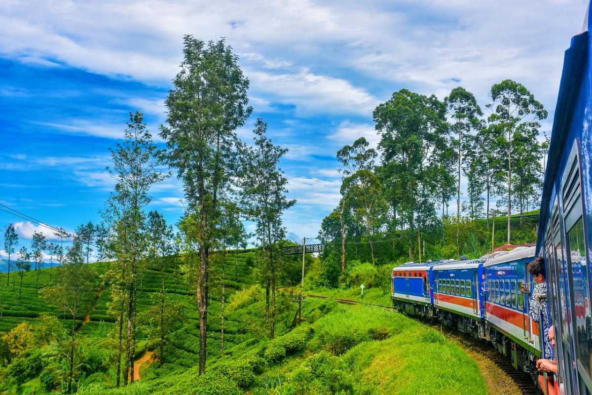 Nuwara Eliya City Tour - Gregory Lake, Tea Factory, Hakgala Gardens and Seetha Amman Temple