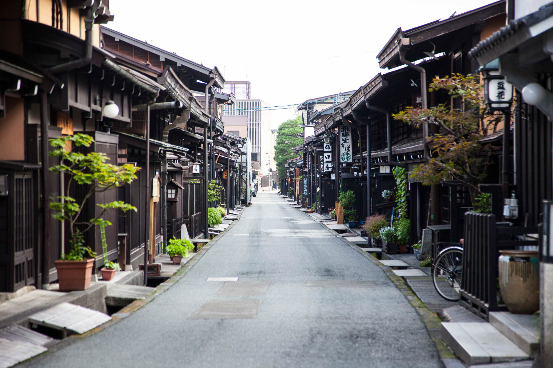 The perfect 16 day Japan Family itinerary to rejuvenate