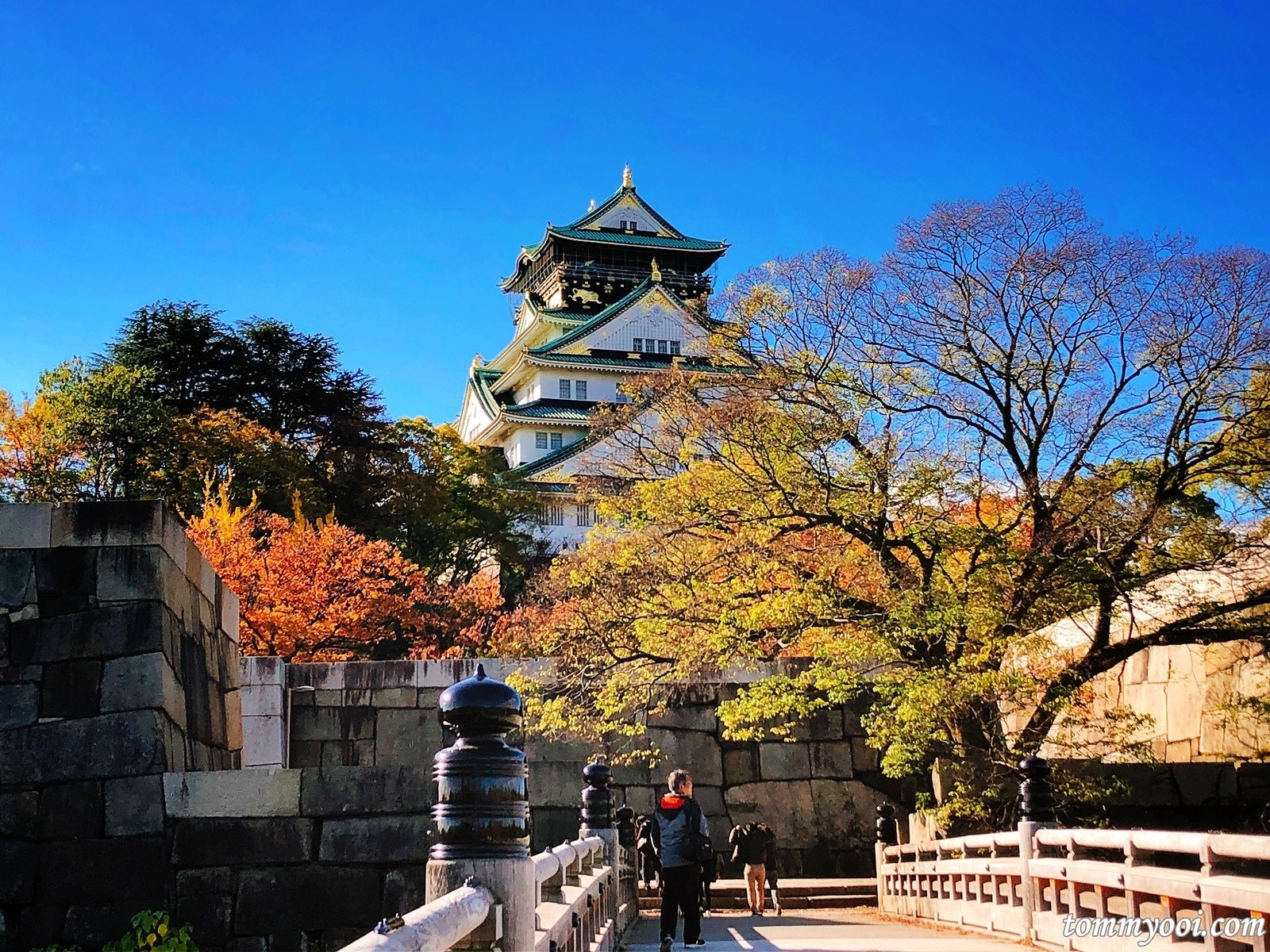 The perfect 7 night Japan itinerary for the adventure lovers