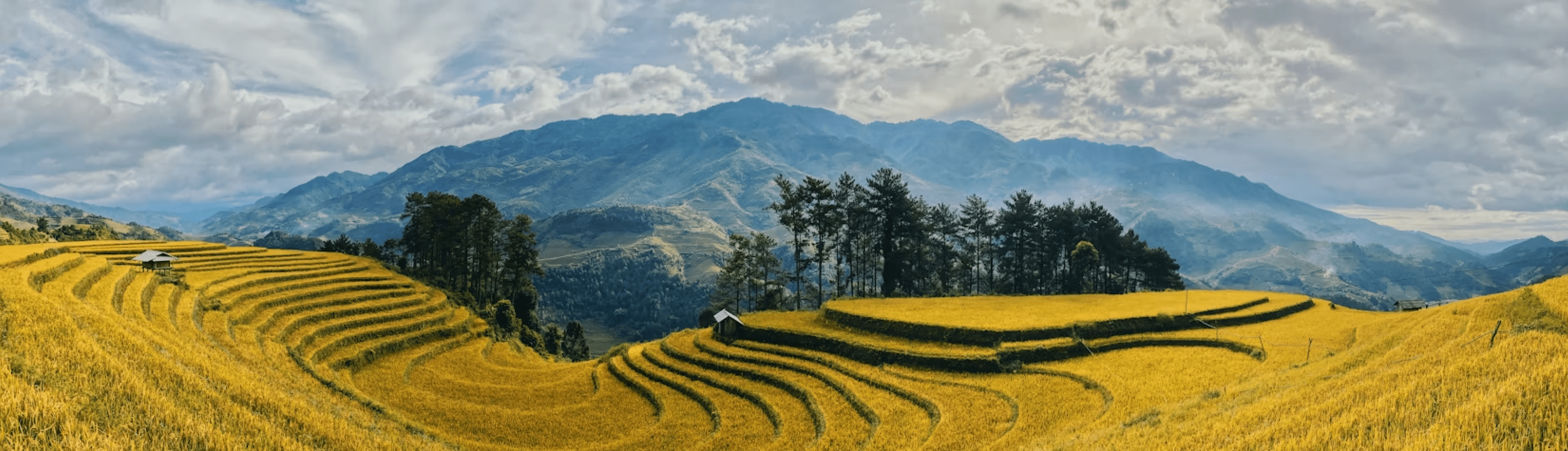 pyt-bannerby.cloudfront.net/packages/banners/186368c6-7ca3-4105-8bda-5e375f626fff_vietnam.mp4