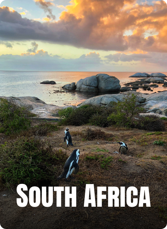 South Africa Family Packages